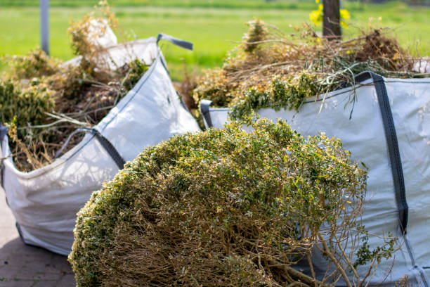 Reliable Cleves, OH Junk Removal Solutions